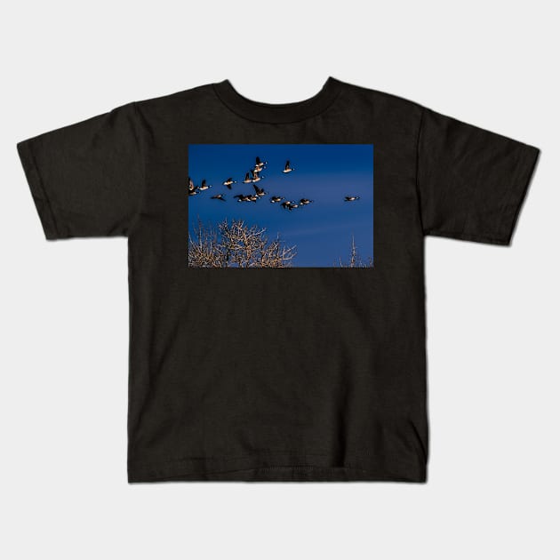 Geese in flight Kids T-Shirt by CanadianWild418